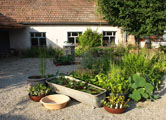 Wasserpflanzen
